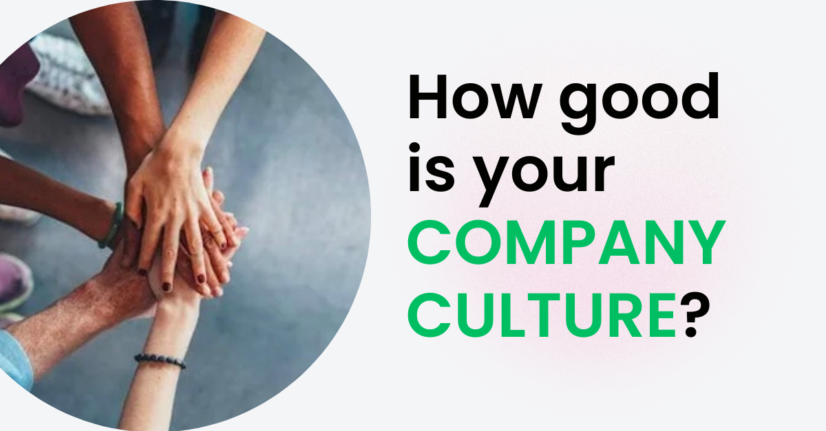 company culture quiz