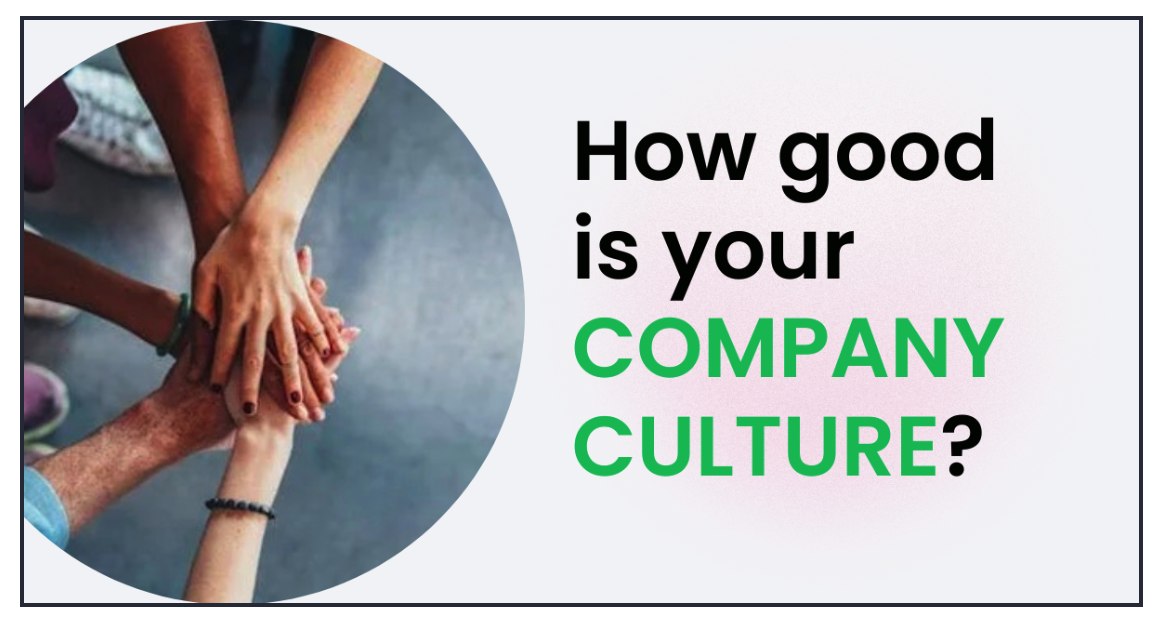 company culture quiz